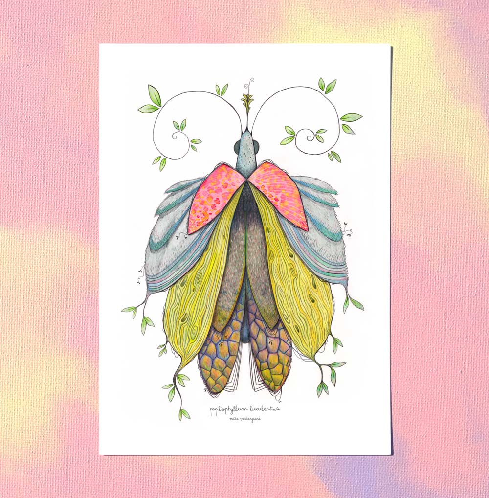 Farverig illustration af sommerfugl med detaljerede vinger, dansk design plakat til børneværelset, maleri og kunsttryk.